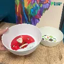 PT911-Bowl-full-color-foto-real (1).webp