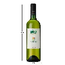 PT627-Botella-de-vino-personalizada-750ml-chardonay-medidas.webp