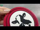 youtube - [Video]