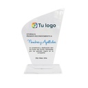 Placa de reconocimiento